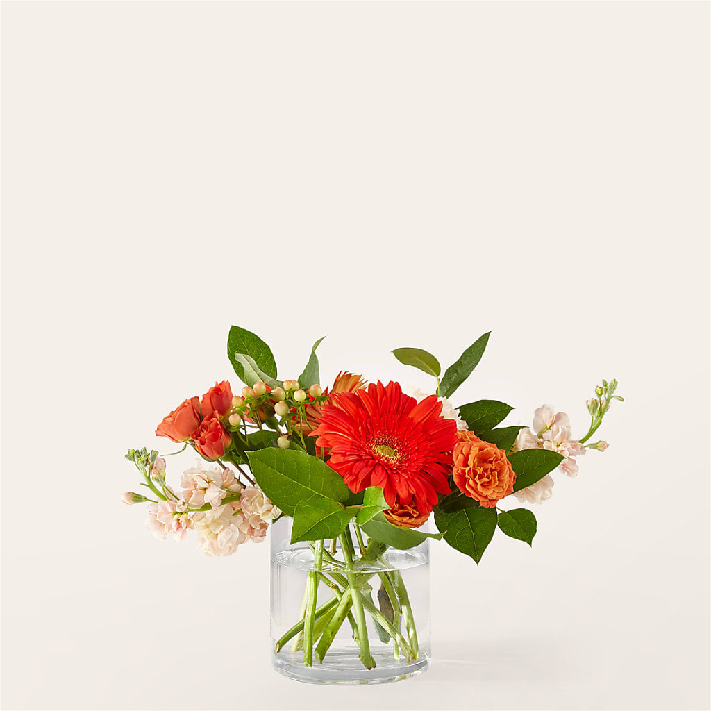 Paloma Please Bouquet – PETAL & VINE DESIGN INC, Portage IN