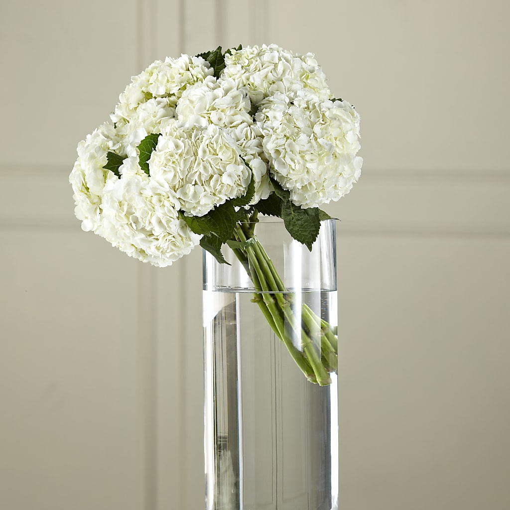 White Hydrangea Hand-Tied Bouquet – PETAL & VINE DESIGN INC, Portage IN