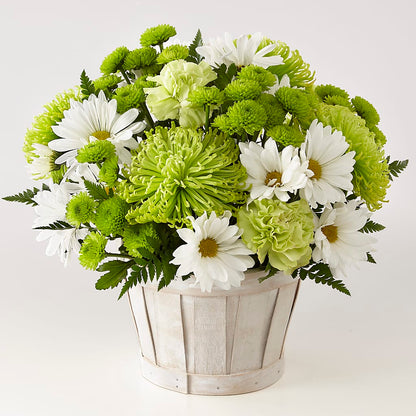 Lucky Charm Basket (Standard) – PETAL & VINE DESIGN INC, Portage IN