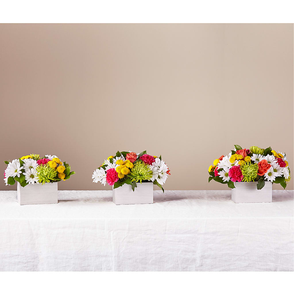 Sorbet Bouquet – PETAL & VINE DESIGN INC, Portage IN