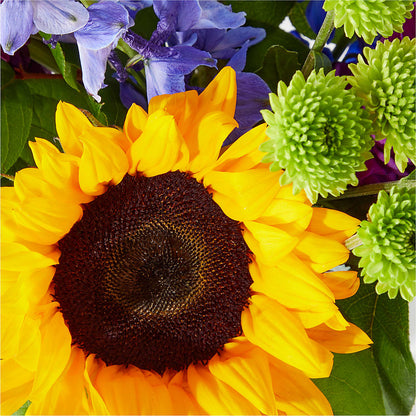 Catching Rays Bouquet – PETAL & VINE DESIGN INC, Portage IN