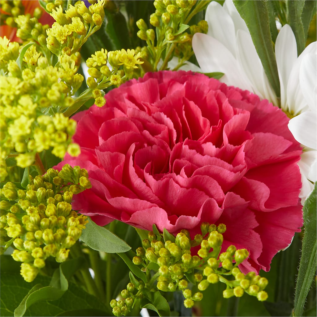 Oopsie Daisy Bouquet – PETAL & VINE DESIGN INC, Portage IN