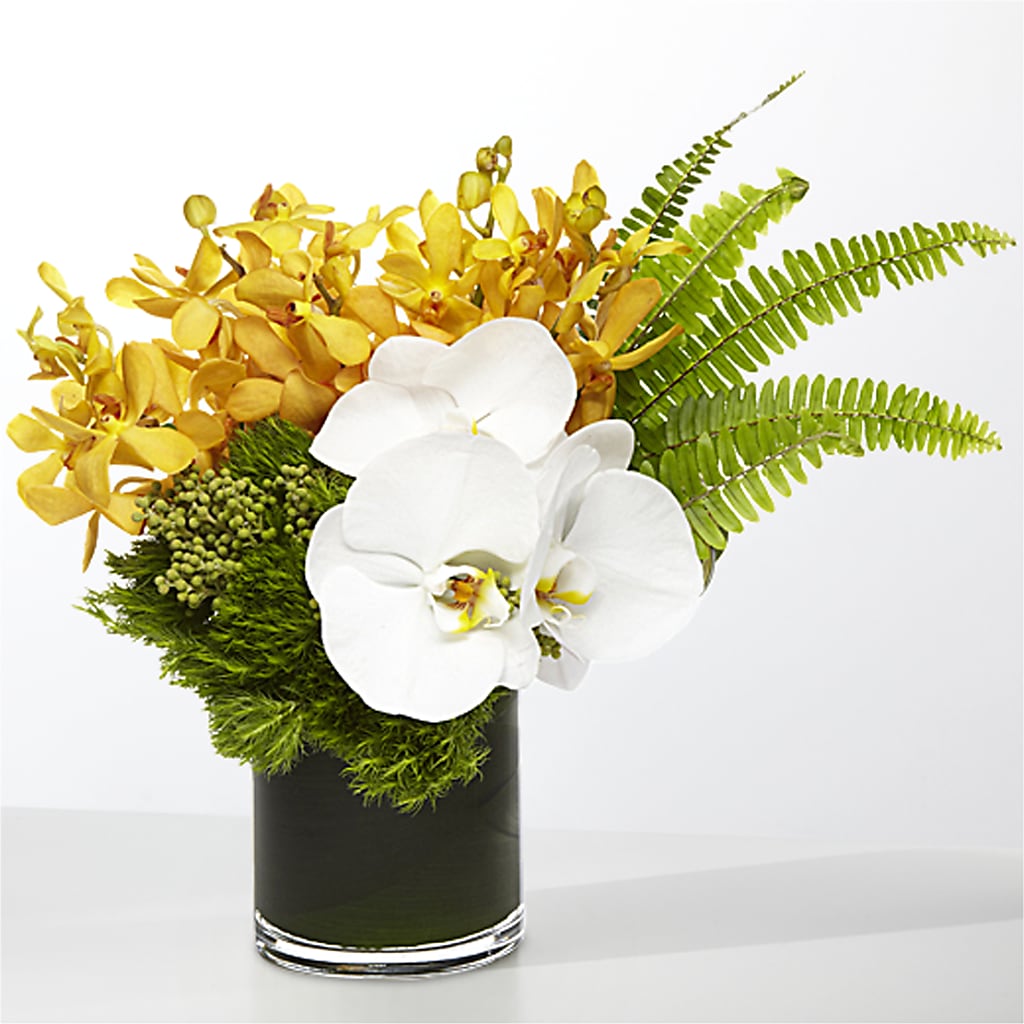 The Tropics – PETAL & VINE DESIGN INC, Portage IN