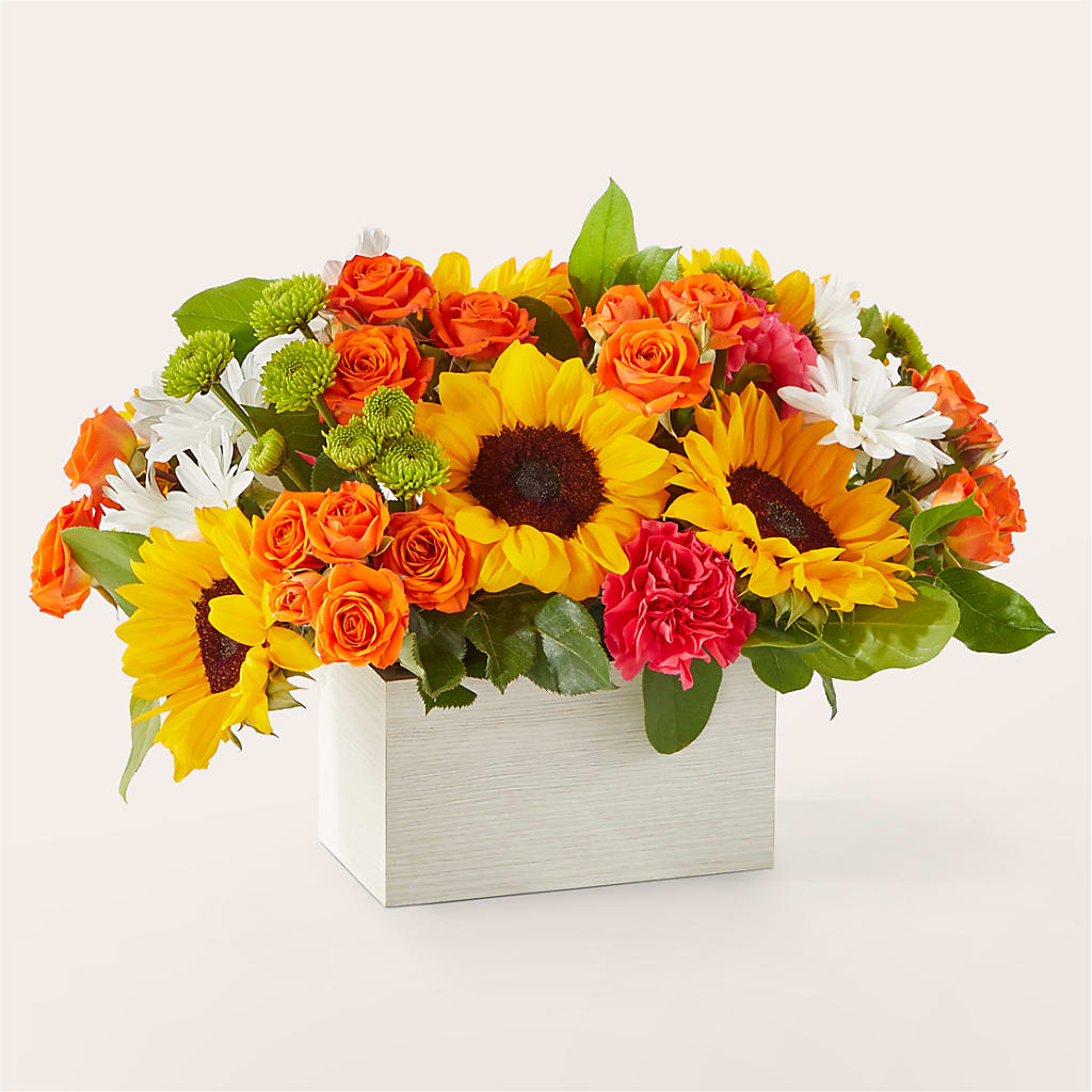 Sun-drenched Blooms Box Bouquet – PETAL & VINE DESIGN INC, Portage IN