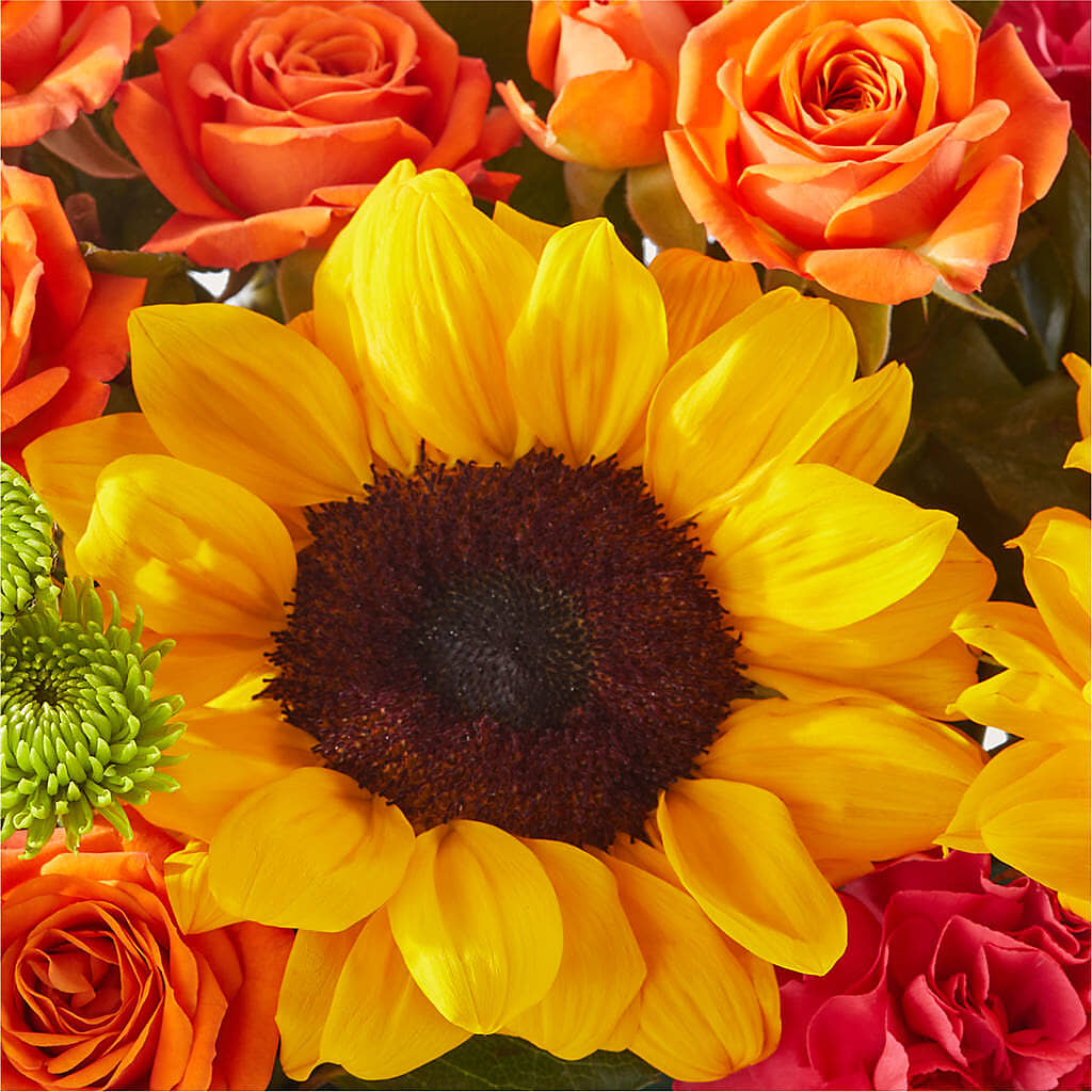 Sun-drenched Blooms Box Bouquet – PETAL & VINE DESIGN INC, Portage IN