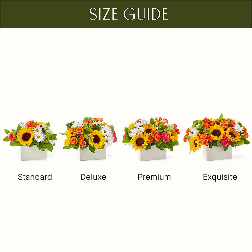 Sun-drenched Blooms Box Bouquet – PETAL & VINE DESIGN INC, Portage IN