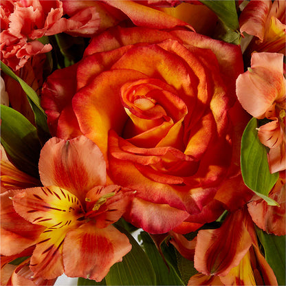 Apricot Glow Bouquet – PETAL & VINE DESIGN INC, Portage IN