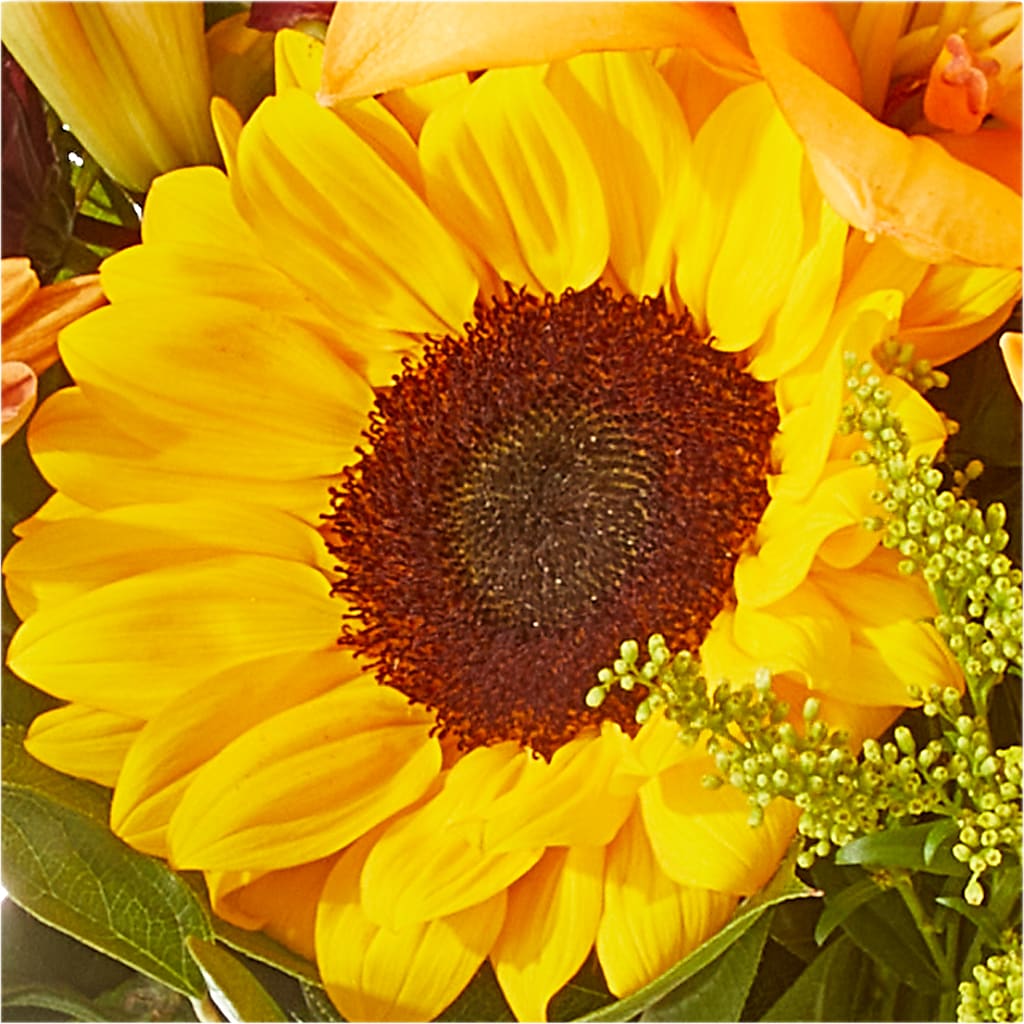 Seasons Change Bouquet – PETAL & VINE DESIGN INC, Portage IN