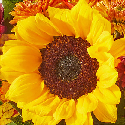 Sunny Side Bouquet – PETAL & VINE DESIGN INC, Portage IN