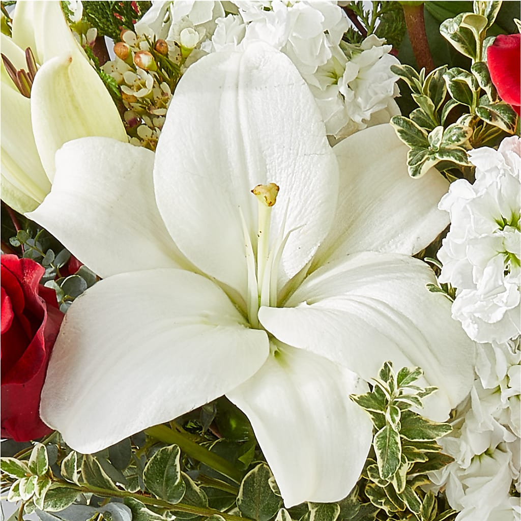 Twinkle Lights Bouquet – PETAL & VINE DESIGN INC, Portage IN