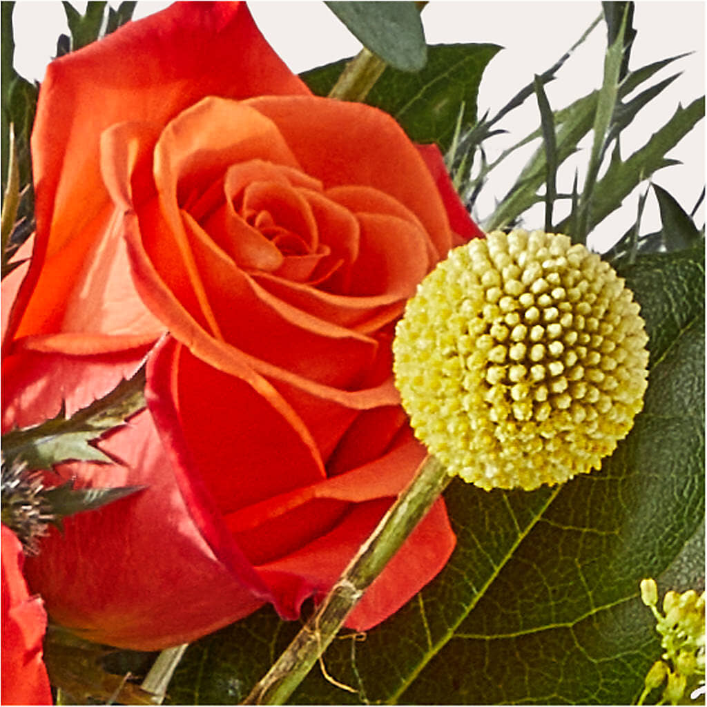 Disco Bouquet – PETAL & VINE DESIGN INC, Portage IN