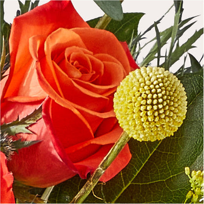 Disco Bouquet – PETAL & VINE DESIGN INC, Portage IN