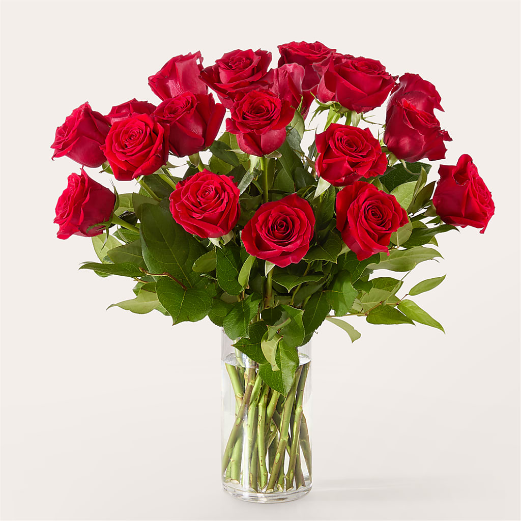 The One Red Rose Bouquet – PETAL & VINE DESIGN INC, Portage IN