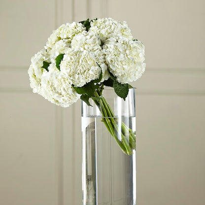 White Hydrangea Hand-Tied Bouquet – PETAL & VINE DESIGN INC, Portage IN